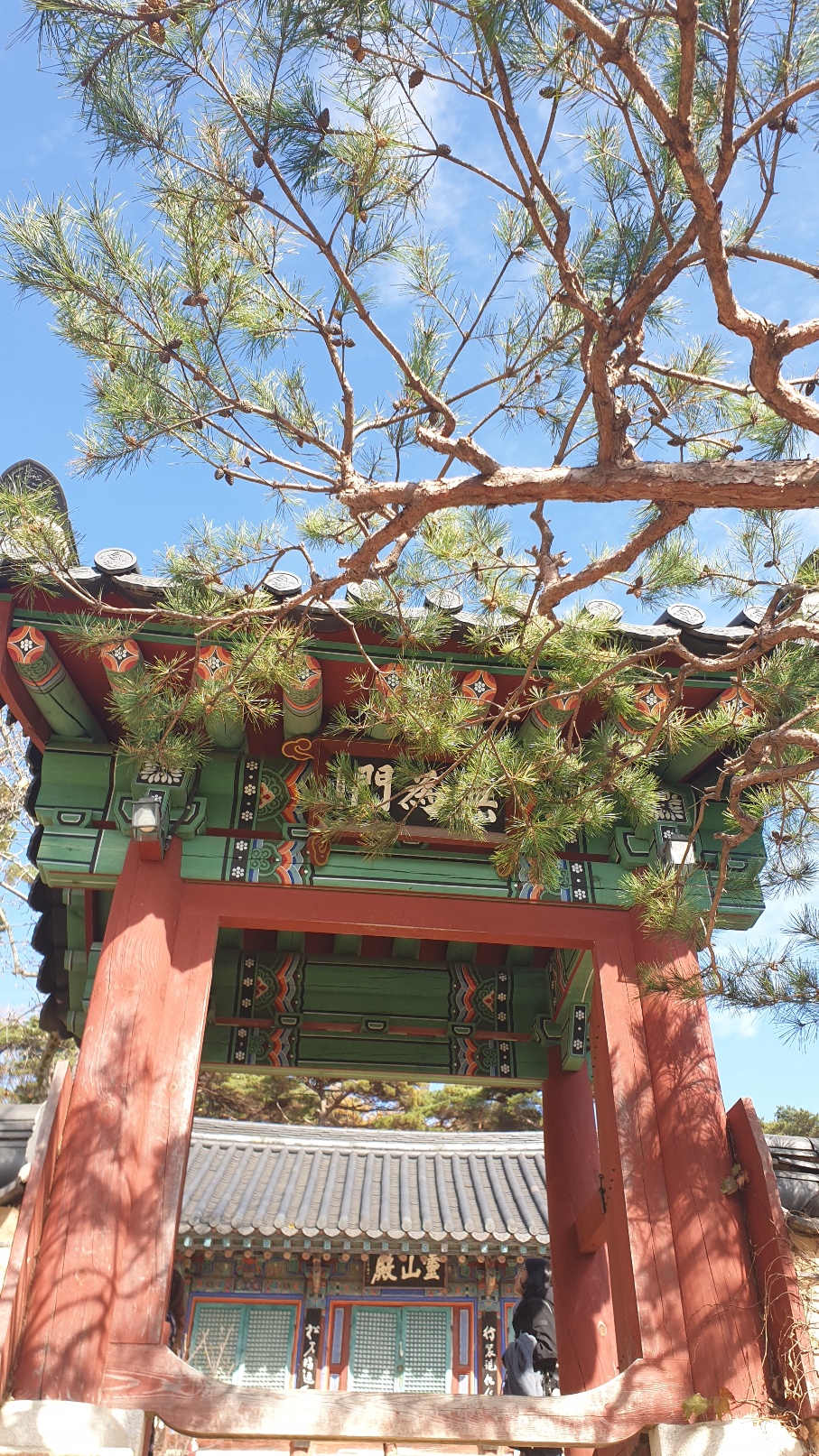 3695294320_7T6bQgGK_a9f5a23213984c398d2ea46ec5a9d48981b129a5.jpg 이미지크게보기