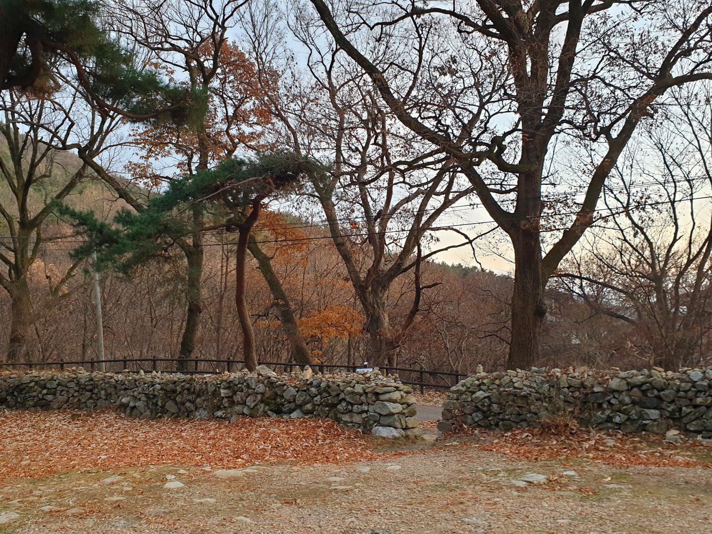 3695294320_ALroiPEj_cfe09b51ef1ebbaf7d36b04431fd7c6b88d81232.jpg 이미지크게보기