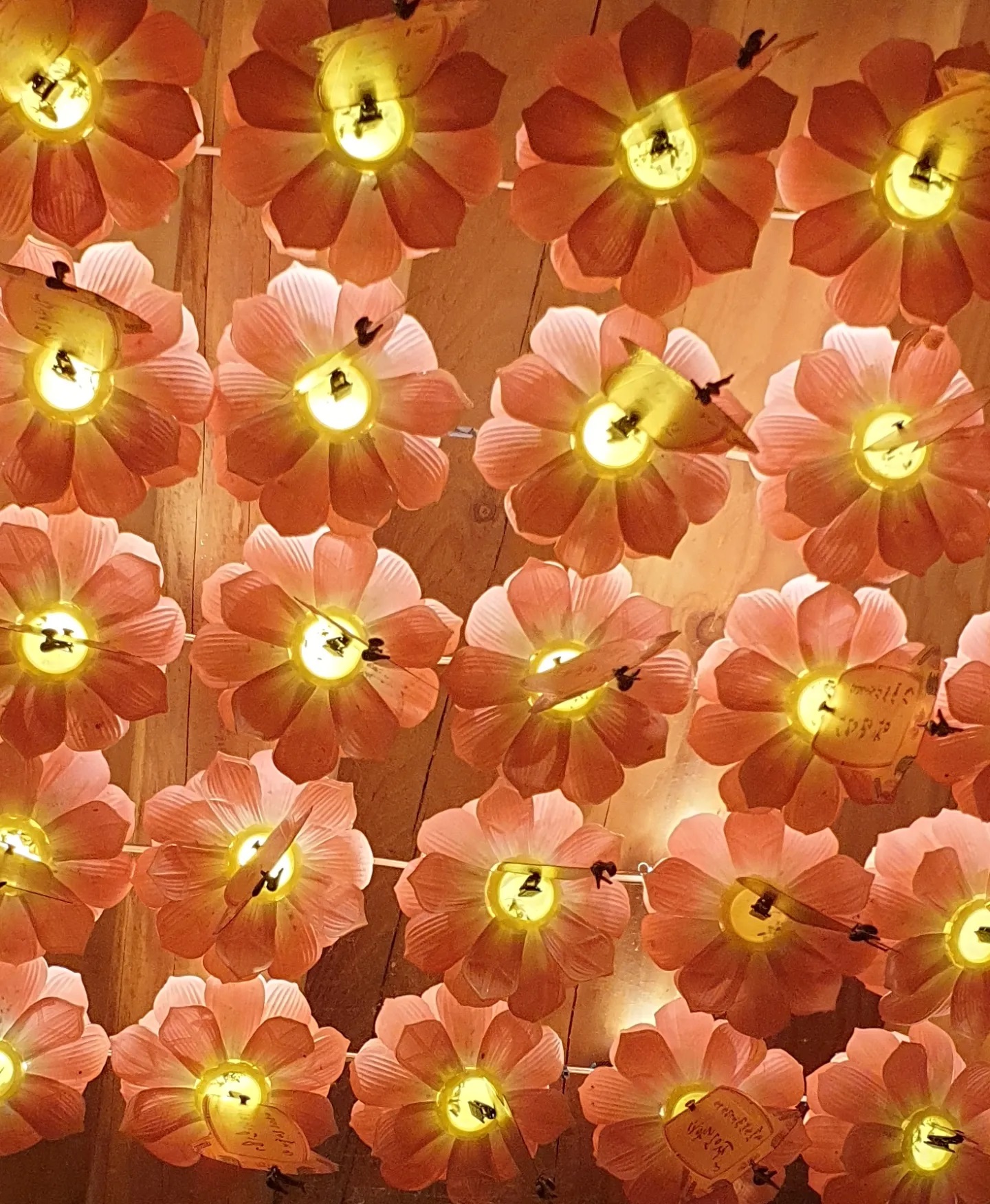 3695294320_ChVtYs83_5d7a5ebd856593e3fa5ad3b3f3a018b45d2fc911.jpg 이미지크게보기