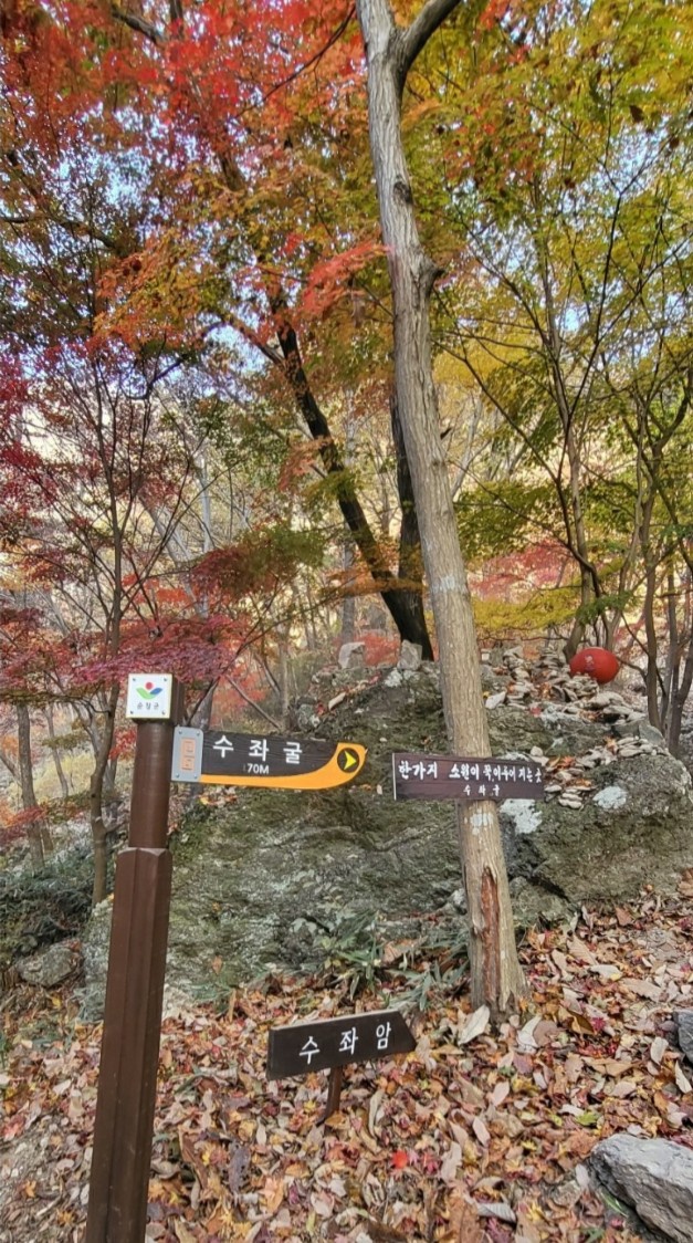 3695294320_MoFsZa5W_b8b289d6b659fa14df61801fbc927f6f7a495791.jpg 이미지크게보기