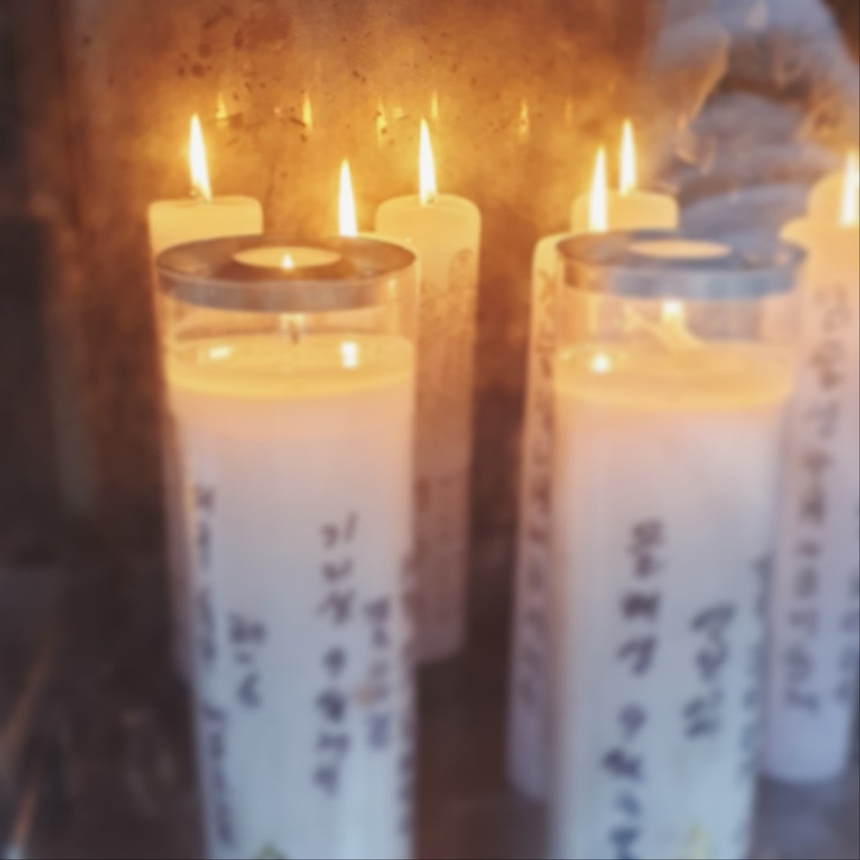 3695294320_OCwbckjQ_85b000beb3f9d206c9be731135f7e49a874bb461.jpg 이미지크게보기