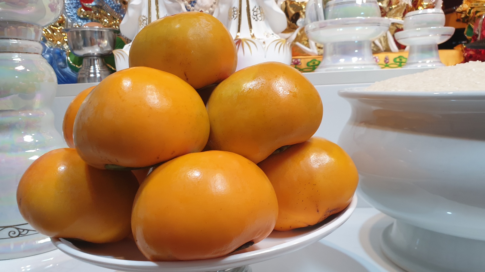 3695294320_ukU79mRe_3919aecd3524c42c91533a469bbd53c90eeaba26.jpg 이미지크게보기