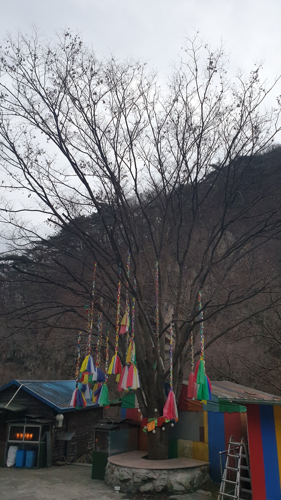 3695294320_vxrwSLIA_b2fd7d61831cc161e444f3b21836f630de486494.jpg 이미지크게보기